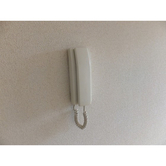 メゾンホリコシ0205号室 インターフォン