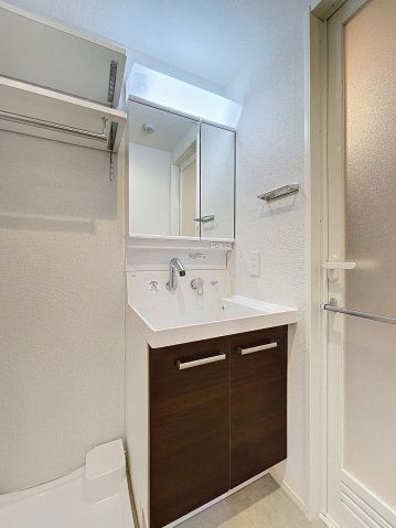 アイル グランデ川口211号室 洗面