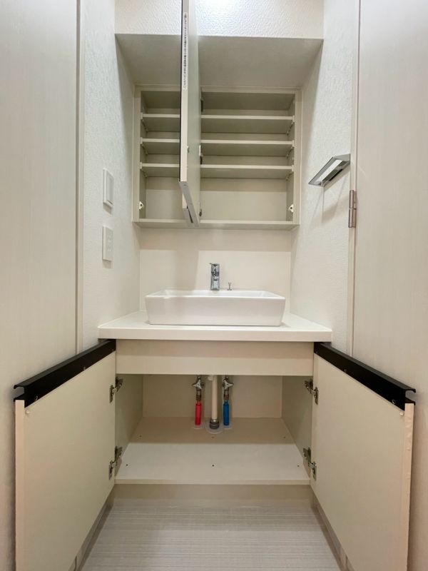 DIPS赤羽駅前 洗面