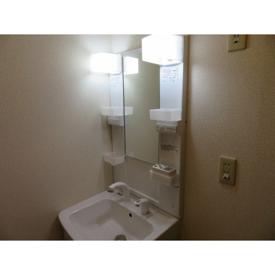 モンシャトー小川0203号室 独立洗面台