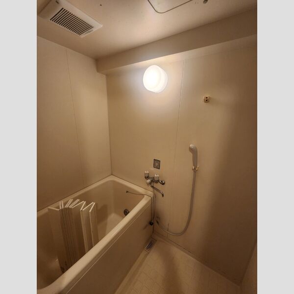 フジヴェール法蓮寺山203号室 浴室