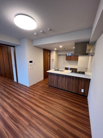 DIPS上野NORTH1003号室 リビング