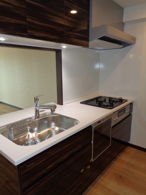 GENOVIA隅田川east skygarden0608号室 キッチン