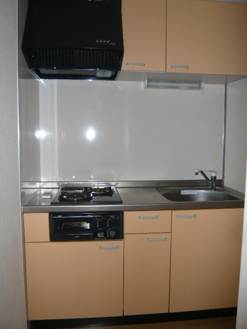 トラストコート立川0201号室 キッチン