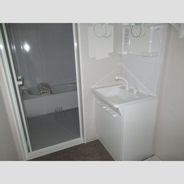 D-ROOM　NOBUTO801号室 洗髪洗面化粧台