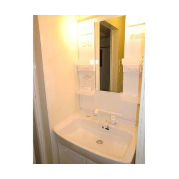 ロイヤルパーク301号室 洗面