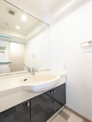 ベルジューレ高輪0202号室 洗面