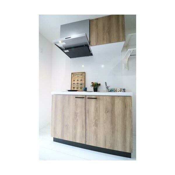 α(アルファ)　parks　east103号室 キッチン