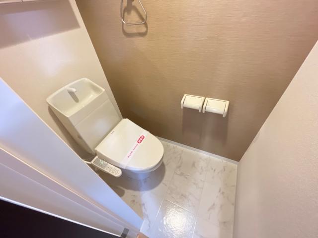 ロイヤルパレスＳ シャワー付トイレ