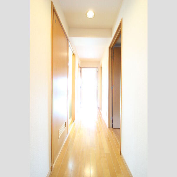 モニュメントスクウェア　壱番館206号室 壱番館　206号室　玄関通路