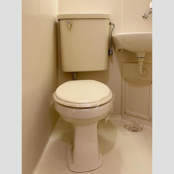 S-FORT錦糸町206号室 トイレ