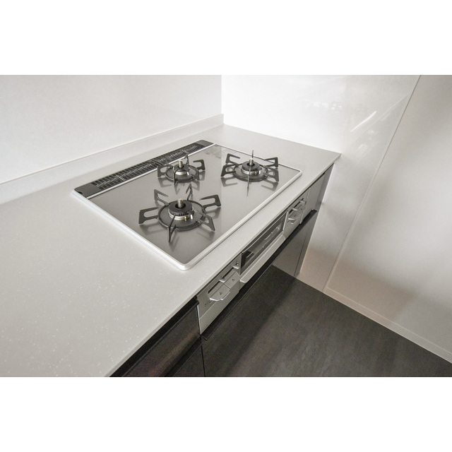 オーパスホームズ白山0503号室 内観