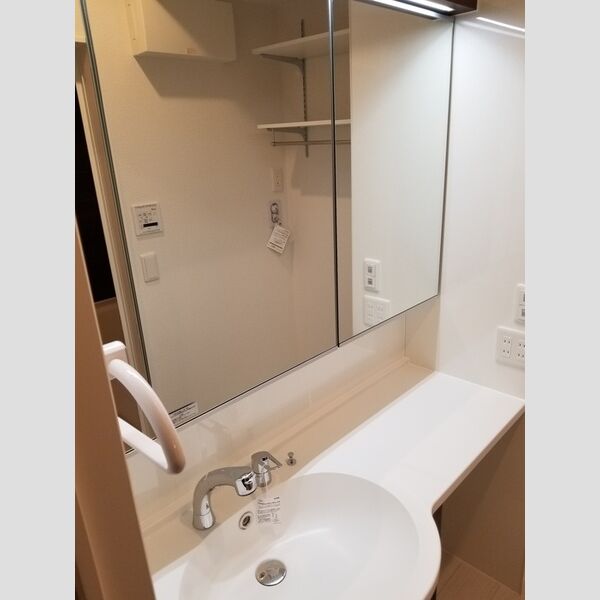 Roygent東大泉102号室 洗面化粧台2