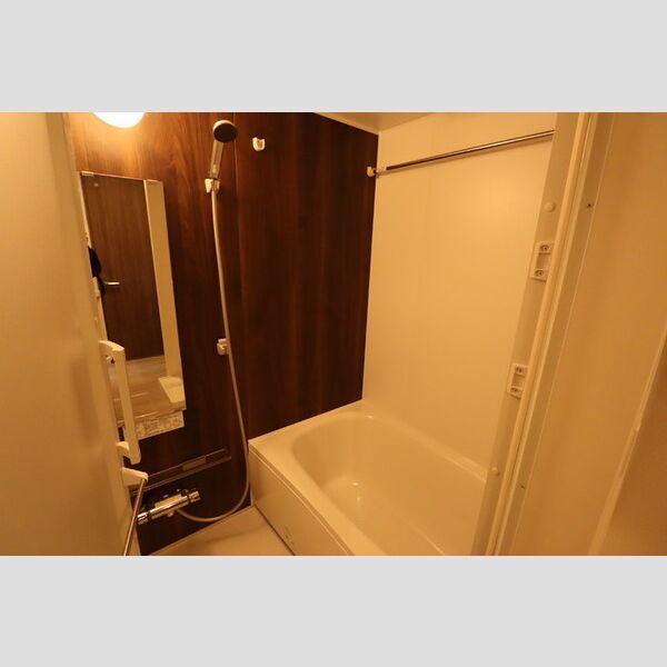 ディーエスペランサ101号室 浴室