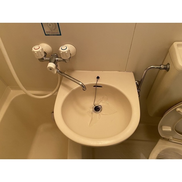 グローリア初穂桜台Ⅱ0107号室 洗面ボウル