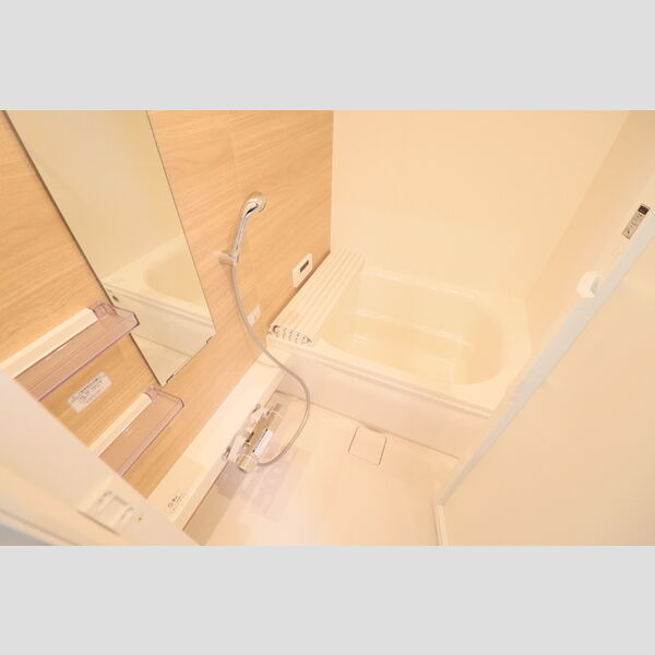 D Paina 中野島Ⅱ 浴室