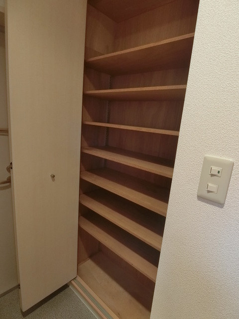 ＬＡＳＡ大崎１ 収納