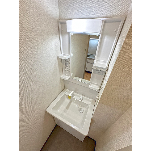 ソレイユ藤が丘204号室 独立洗面化粧台