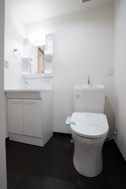 ライオンズマンション高津3階 同建物別部屋の参考画像