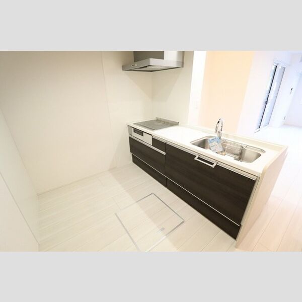 D-PRECIOUS武蔵野101号室 キッチン
