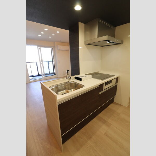 Noble villa浦和美園203号室 システムキッチン