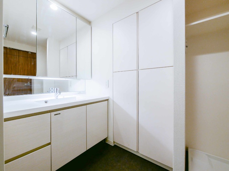 エルスタンザ平河町12階 洗面