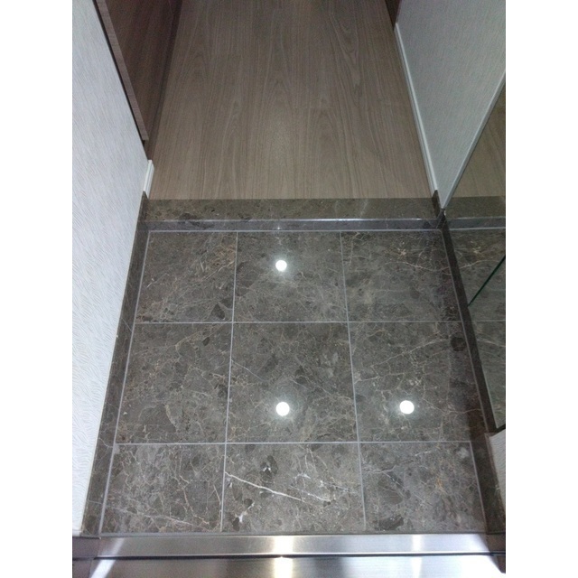 ロアール元住吉1階 玄関