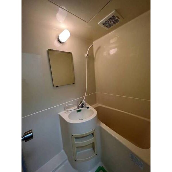 ジュネパレス習志野第110102号室 洗面