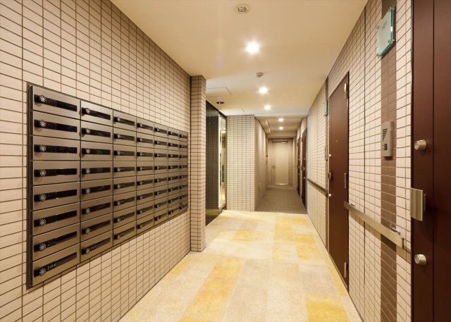 DIPS小竹向原206号室 エントランス