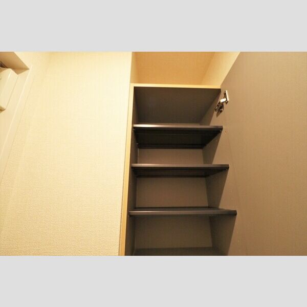 エムズ　バーレイ湘南平塚202号室 シューズクローク(トールタイプ)