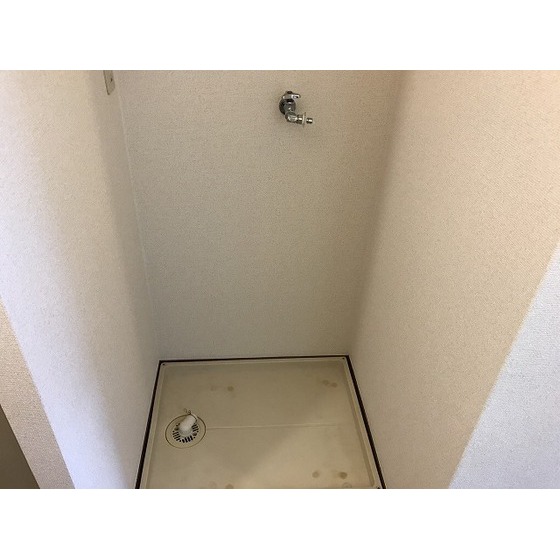 エステートロイヤル７号棟0201号室 室内洗濯機置き場