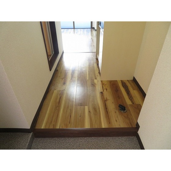 エバーグレース西府0207号室 玄関