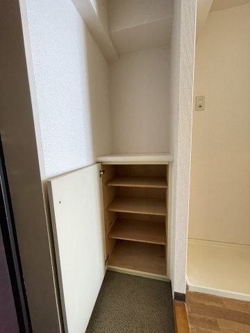 スカイコート宮崎台第3209号室 収納