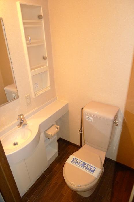 ステージグランデ新高円寺 サニタリー