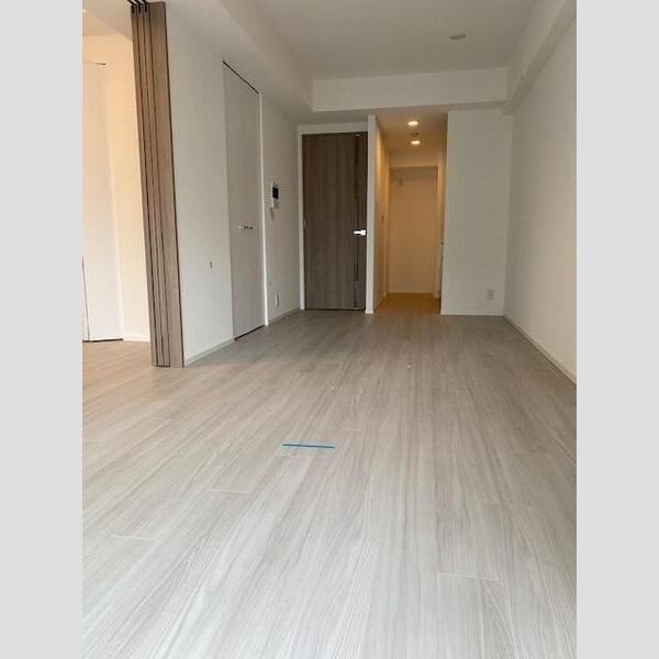 S-RESIDENCE両国avenue301号室 リビング