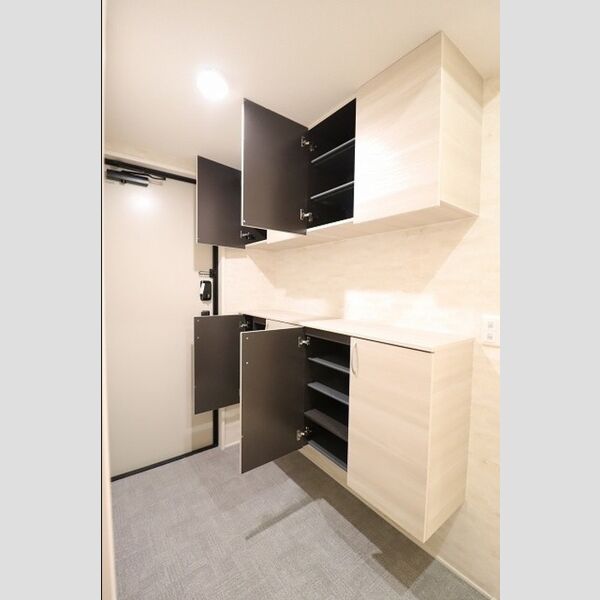 D-PRECIOUS武蔵野301号室 シューズボックス