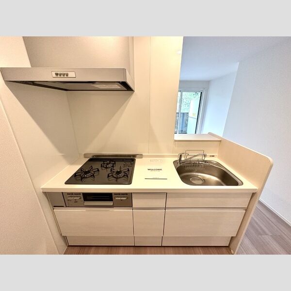 ACE305号室 システムキッチン