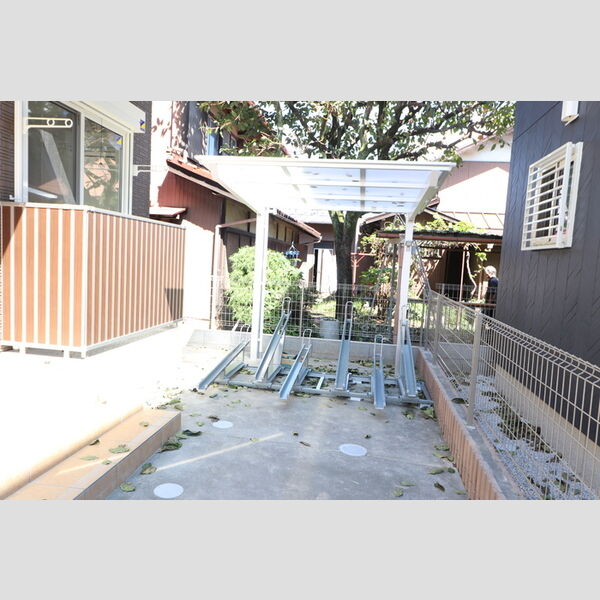 ブルーデイジー 周辺