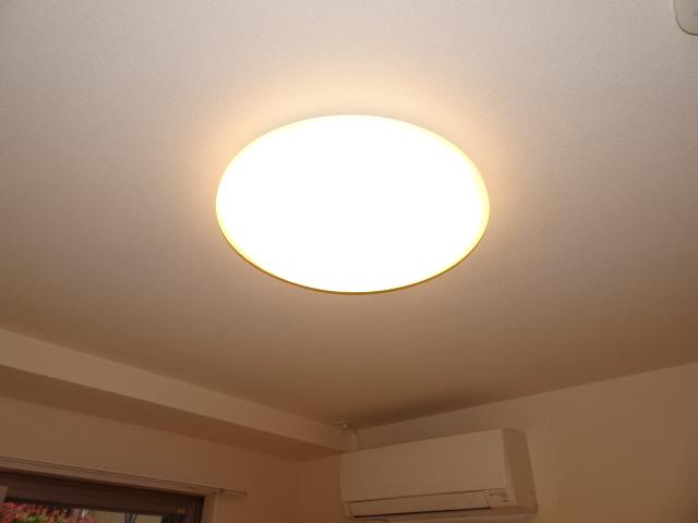 Poinsettia 照明器具
