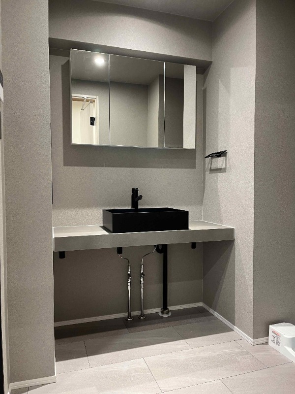 レジディア東麻布8階 洗面