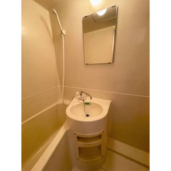 ジュネパレス我孫子第030204号室 洗面