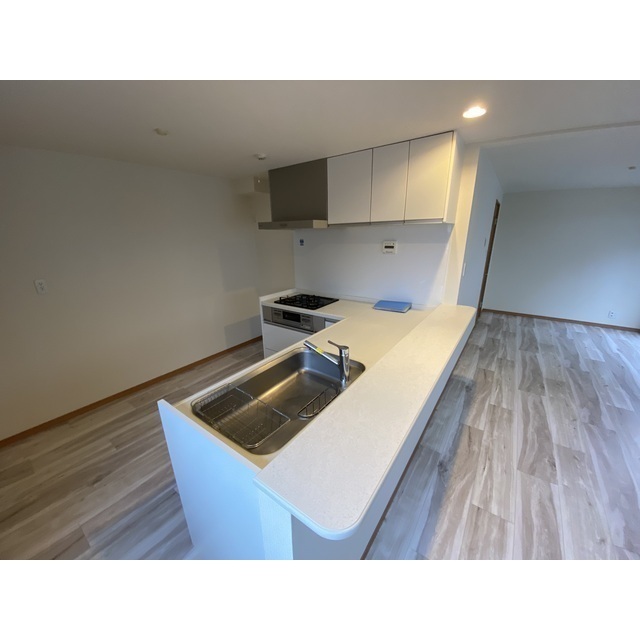 コーポヤシキ キッチン