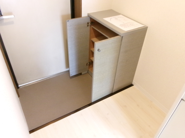 Ｂｉｇ　Ｔｈｒｏｕｇｈ0213号室 収納