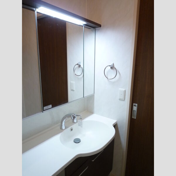 Bright Halu 　west101号室 洗面