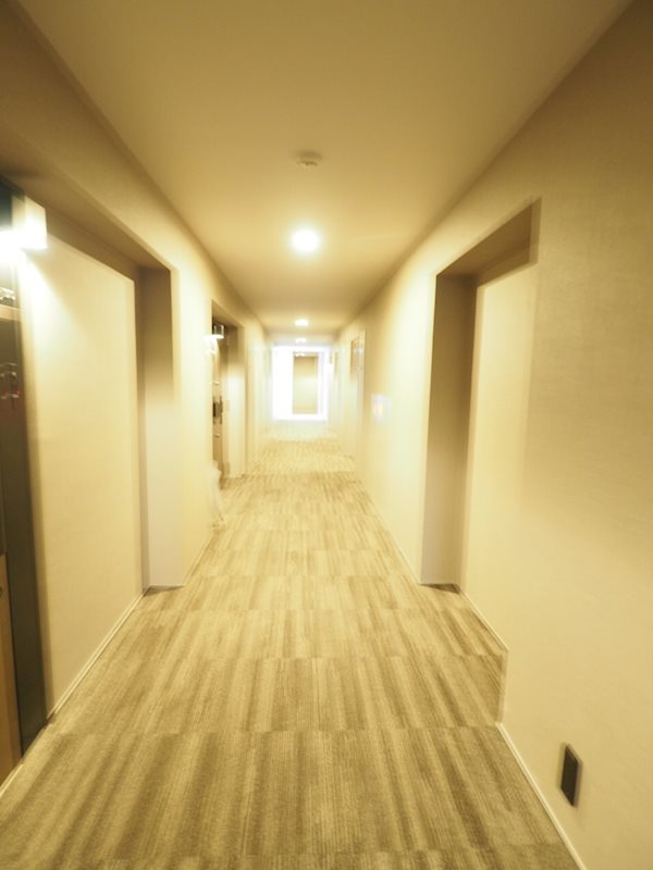 カーザビアンカ2階 内廊下