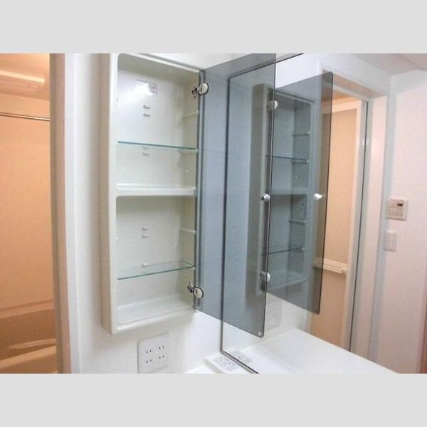 オークスURAWA701号室 洗面所　収納