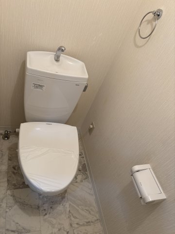 テルージュ菊名Ⅱ トイレ