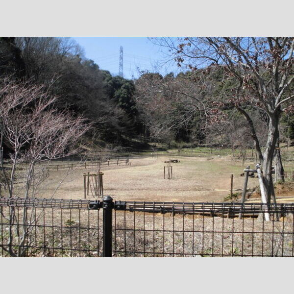 柚子季　Ⅲ 隣接緑地