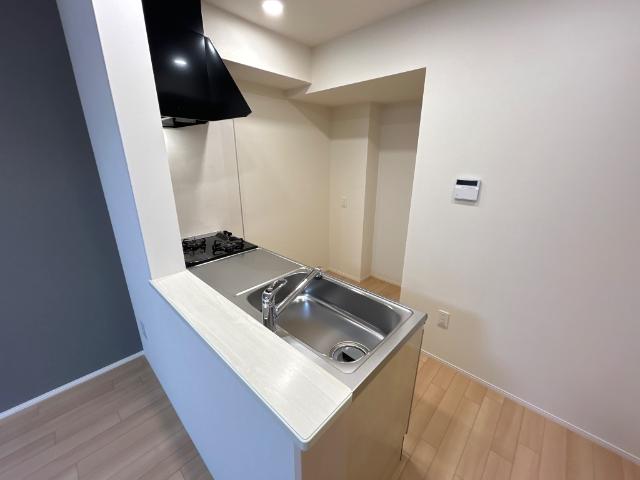 サウスヒル藤吉102号室 カウンターキッチン