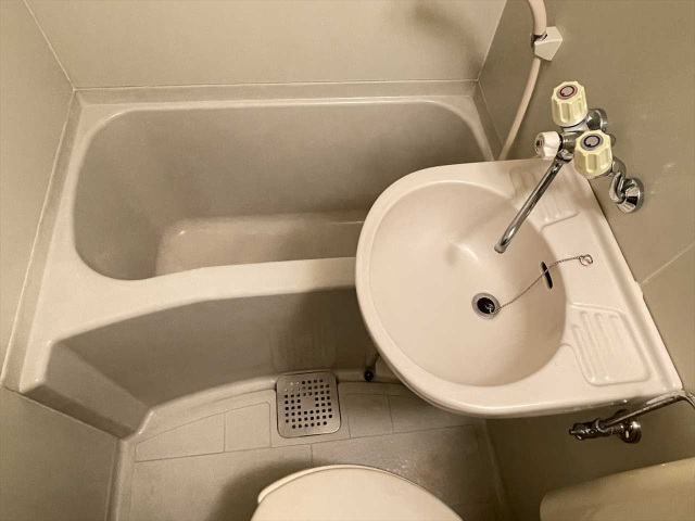 スカイコートたまプラーザ403号室 洗面